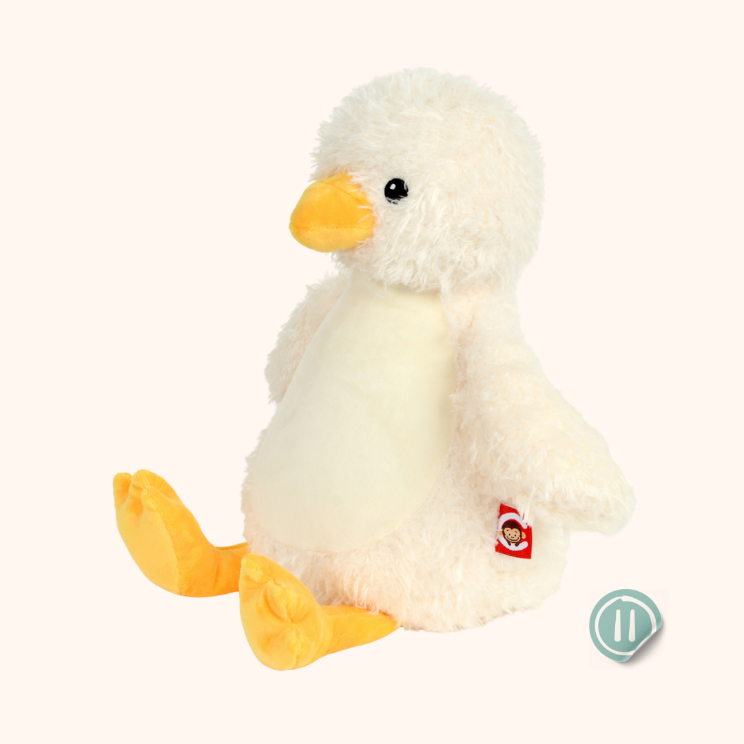 Pato