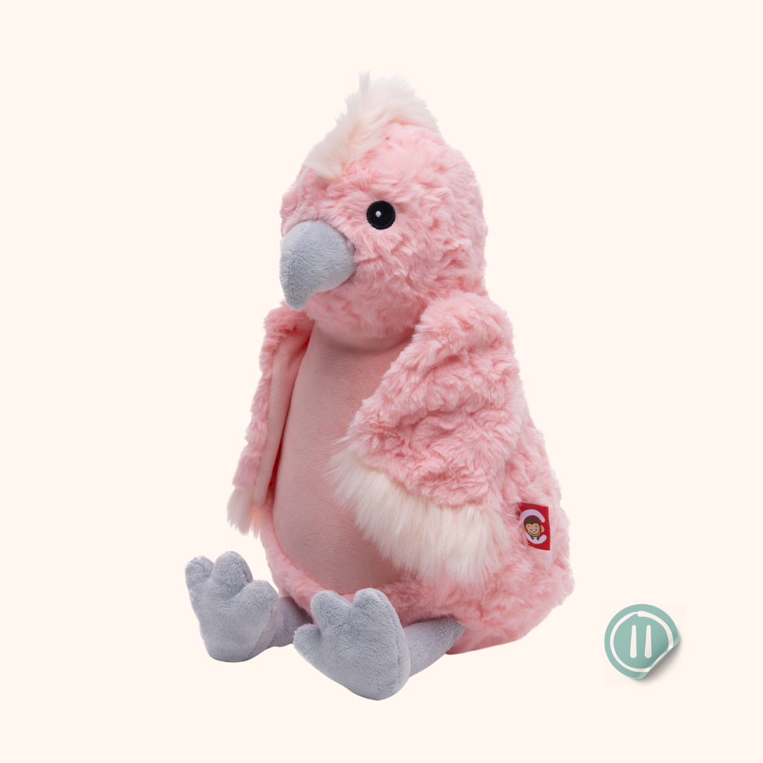 Cacatúa
